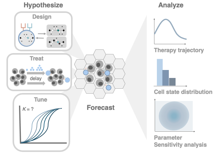 Spatiotemporal modeling of inhibitory CAR T therapies in the tumor microenvironment